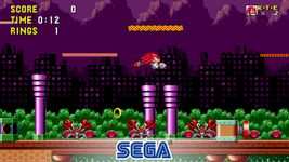 Captura de tela do apk Sonic the Hedgehog™ 11