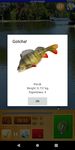Скриншот 5 APK-версии Мобильная Рыбалка