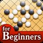 How to play Go "Beginner's Go"