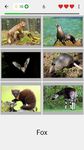 動物クイズ - すべての哺乳動物 のスクリーンショットapk 3
