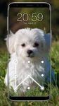 Puppy Dog Pattern Lock Screen screenshot apk 13