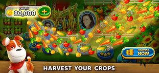 Solitaire - Grand Harvest zrzut z ekranu apk 2