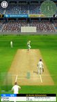 Cricket Megastar image 5