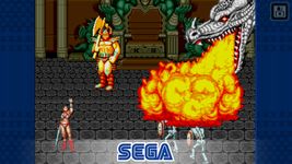 Golden Axe capture d'écran apk 16