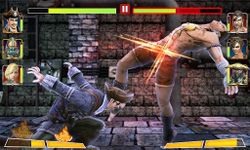 Champion Fight 3D zrzut z ekranu apk 4