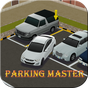 Parkplatz Meister Icon