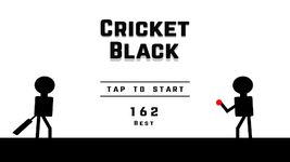 Cricket Black screenshot apk 2