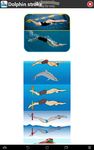 Screenshot 2 di Swimming Step by Step apk