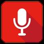 Voice Recorder Pro (License) apk icon