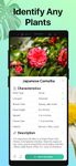 PictureThis - Plant Identification captura de pantalla apk 3