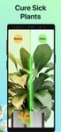 PictureThis - Plant Identification zrzut z ekranu apk 6