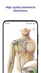 Daily Anatomy: Flashcard Quizzes to Learn Anatomy captura de pantalla apk 7