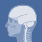 3D Skull Atlas icon