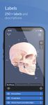 3D Skull Atlas captura de pantalla apk 12