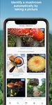 Tangkapan layar apk Mushroom Identify - Automatic picture recognition 4