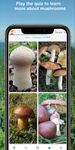 Captură de ecran Mushroom Identify - Automatic picture recognition apk 