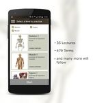 Anatomy Quiz captura de pantalla apk 4