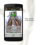 Anatomy Quiz captura de pantalla apk 3