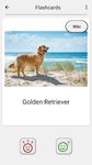 Dogs Quiz - Guess Popular Dog Breeds on the Photos screenshot apk 4