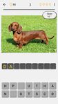 Captura de tela do apk Cachorros - Quiz sobre todas as raças populares 2