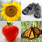 Easy Pictures - Photo-Quiz with 4 Different Topics