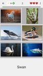Easy Pictures - Photo-Quiz with 4 Different Topics ảnh màn hình apk 2