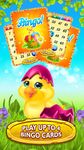 Captura de tela do apk Easter Bunny Bingo 14