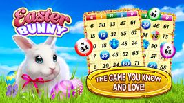 Captura de tela do apk Easter Bunny Bingo 16