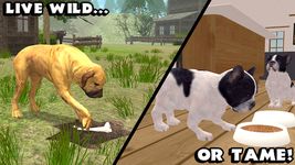 Ultimate Dog Simulator zrzut z ekranu apk 14