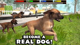 Captura de tela do apk Ultimate Dog Simulator 12