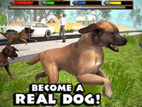 Ultimate Dog Simulator zrzut z ekranu apk 7