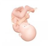 Pregnancy Week by week ảnh màn hình apk 3