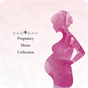 Pregnancy Music Collection 200