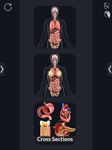 Скриншот 9 APK-версии My Organs Anatomy