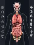 Скриншот 10 APK-версии My Organs Anatomy