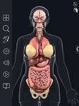 Скриншот 11 APK-версии My Organs Anatomy