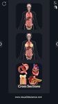 Скриншот 7 APK-версии My Organs Anatomy