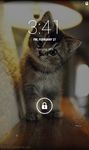 Cute Cat Wallpaper HD zrzut z ekranu apk 3