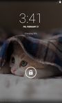 Cute Cat Wallpaper HD zrzut z ekranu apk 