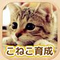 ねこ育成ゲーム - 完全無料！子猫をのんびり育てるアプリ！かわいいねこゲーム！ アイコン