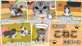 ねこ育成ゲーム - 完全無料！子猫をのんびり育てるアプリ！かわいいねこゲーム！ のスクリーンショットapk 5