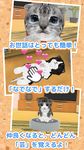 ねこ育成ゲーム - 完全無料！子猫をのんびり育てるアプリ！かわいいねこゲーム！ のスクリーンショットapk 3