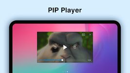 Скриншот 8 APK-версии Видеоплееры FIPE