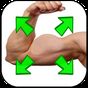 Icoană apk Muscle Editor - Bodybuilding