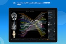 vet-Anatomy のスクリーンショットapk 10