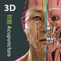 Ícone do Visual Acupuncture 3D