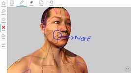 Tangkapan layar apk Visual Acupuncture 3D 2