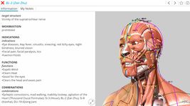 Tangkapan layar apk Visual Acupuncture 3D 11