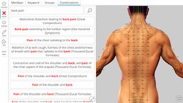 Tangkapan layar apk Visual Acupuncture 3D 9