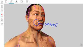 Tangkapan layar apk Visual Acupuncture 3D 6